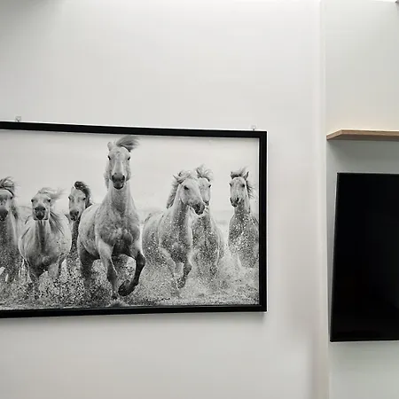 - Zwycieska Free Garage Breslavia